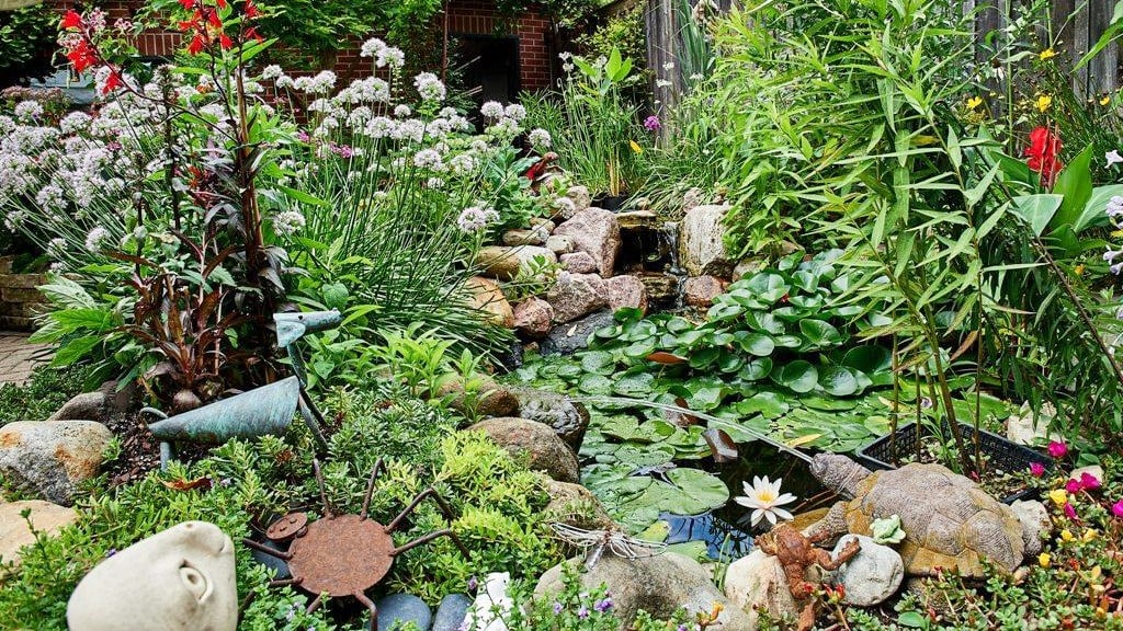 Sheffield Garden Walk 2
