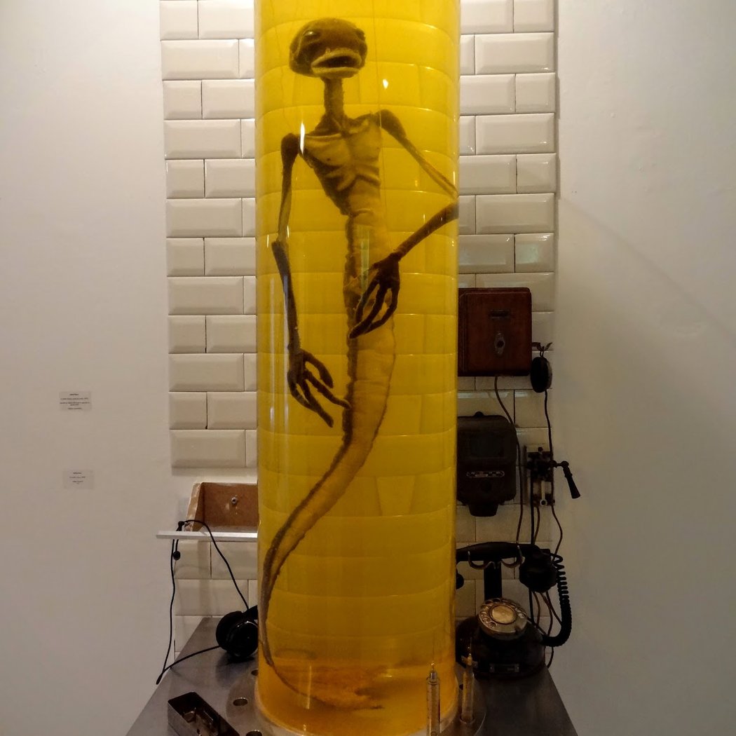La galerie du jour agnès b. 1