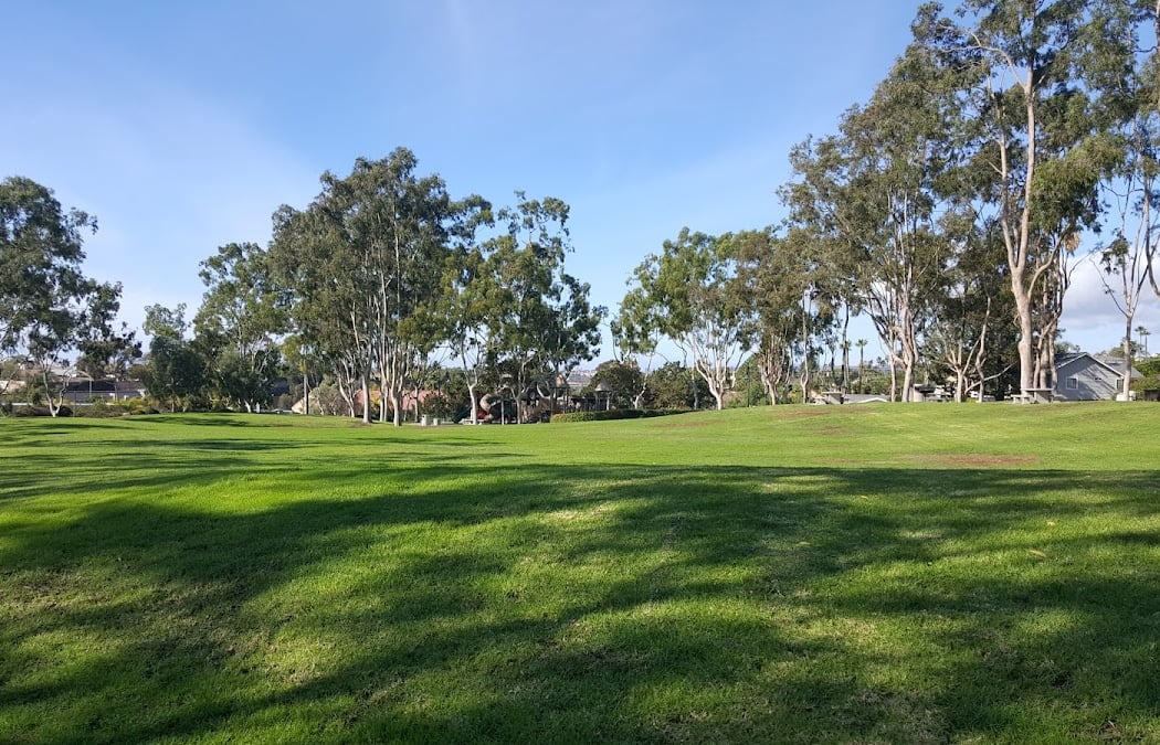 City of Dana Point: Movies in the Park 1