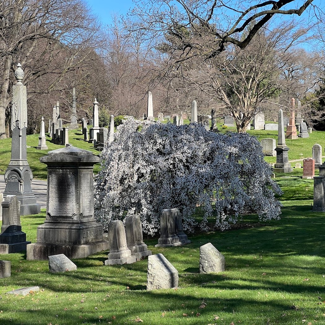 Green-Wood Cemetery Events 2