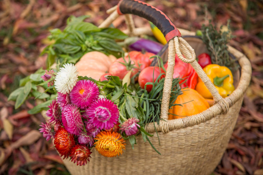 Calistoga Farmers' Market