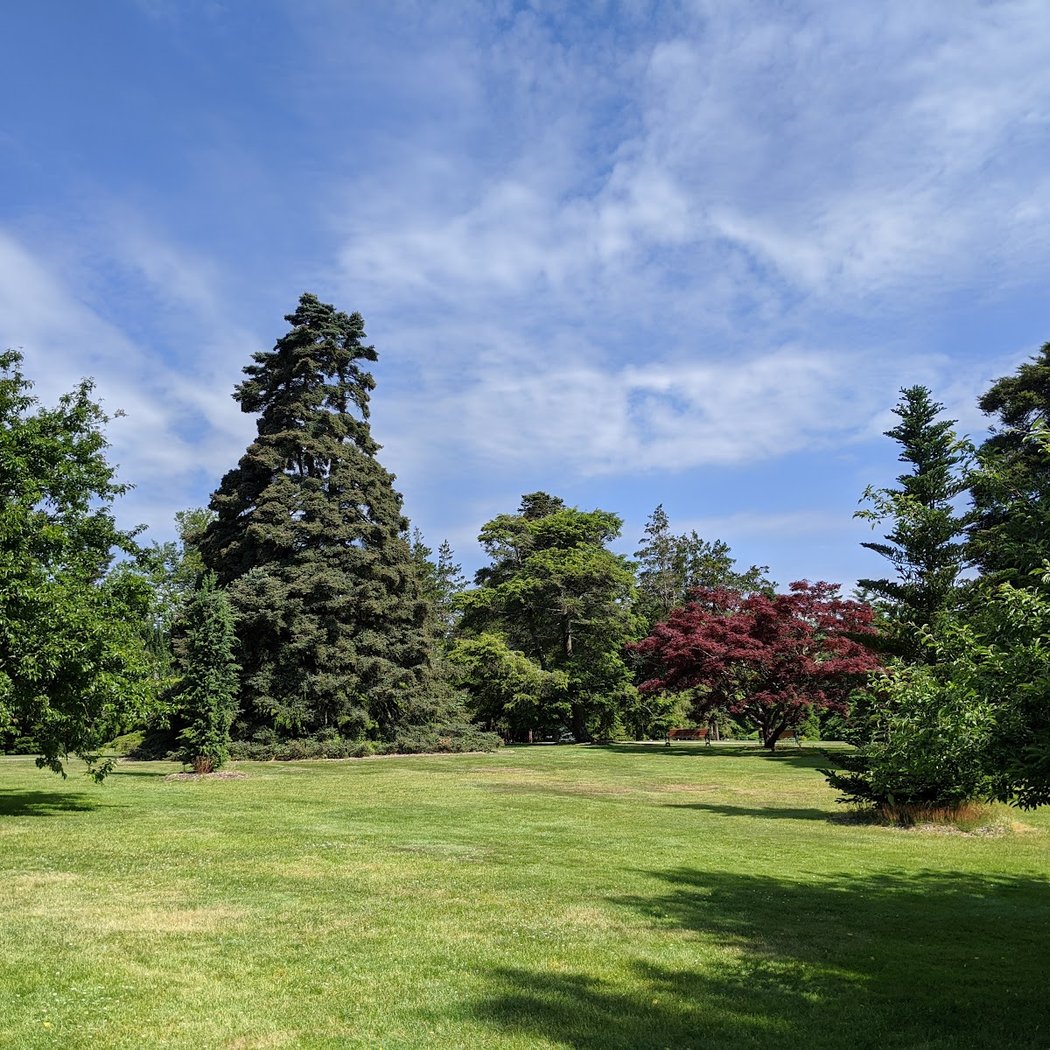 Bayard Cutting Arboretum 3