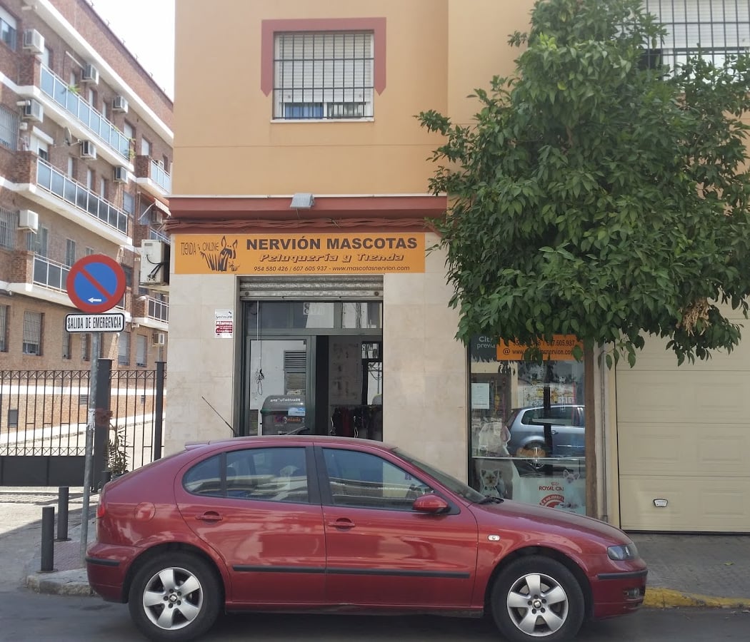 Pet Dog Grooming Nervion 3