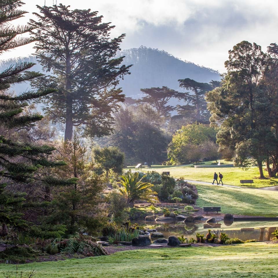 Free Day: San Francisco Botanical Garden 1