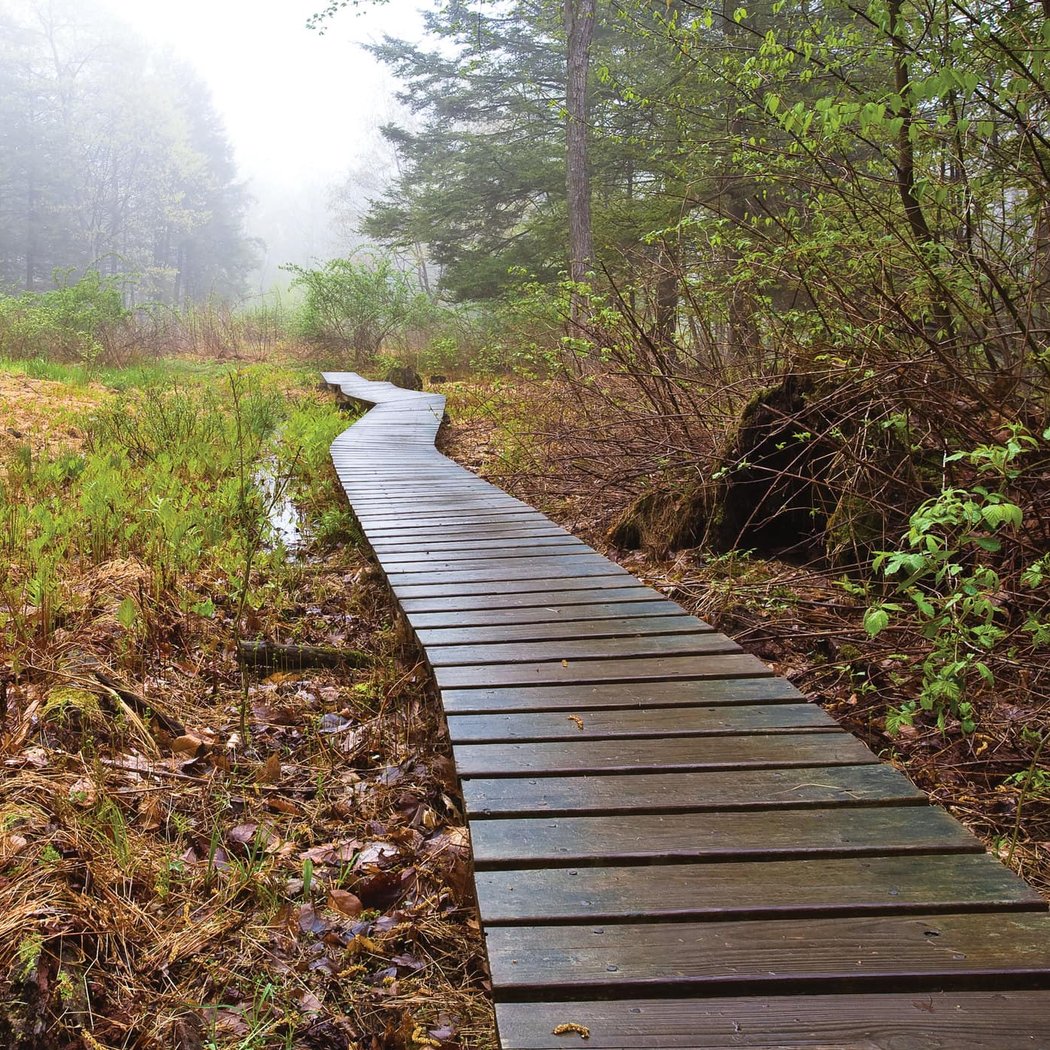 Shaupeneak Ridge Park 1