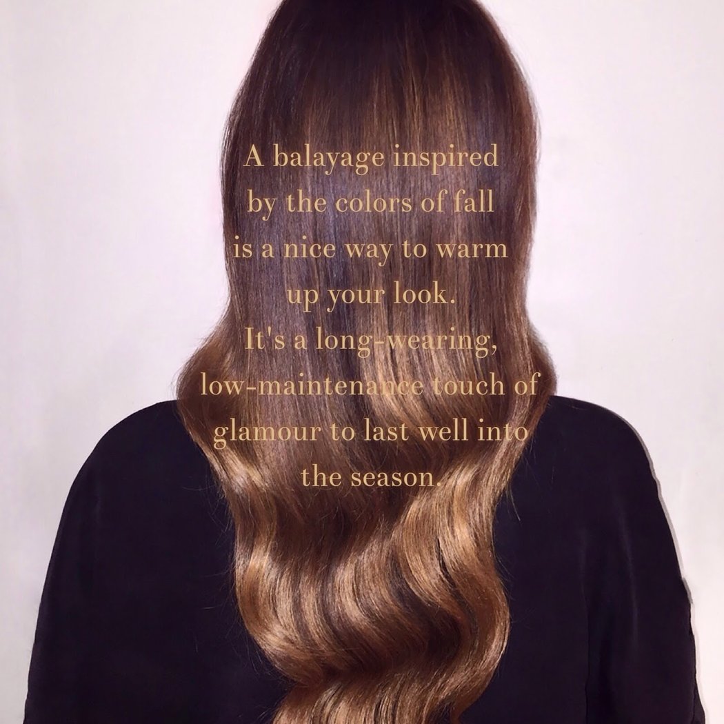 mousey brown salon 1