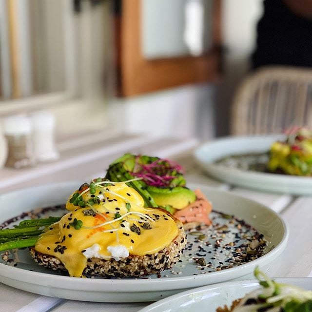 Seed Cafe 5