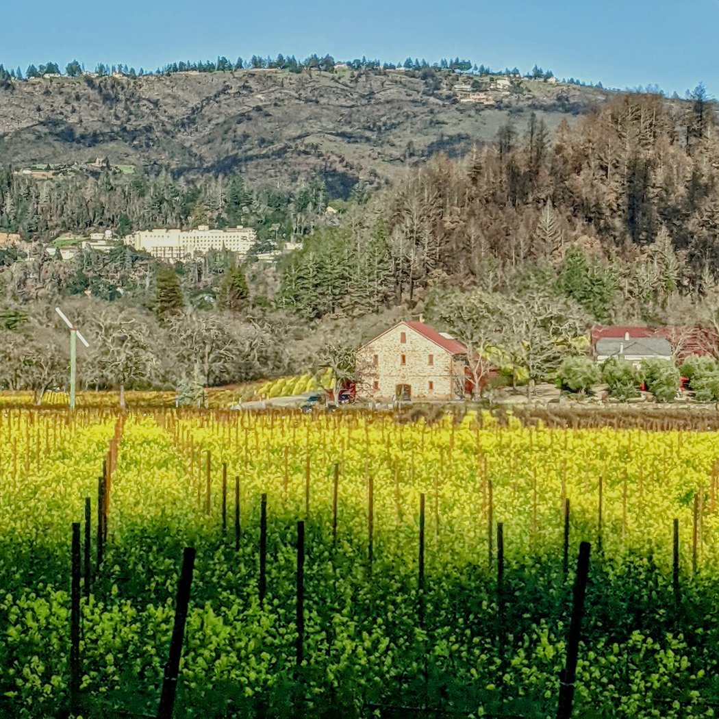 St Helena 3
