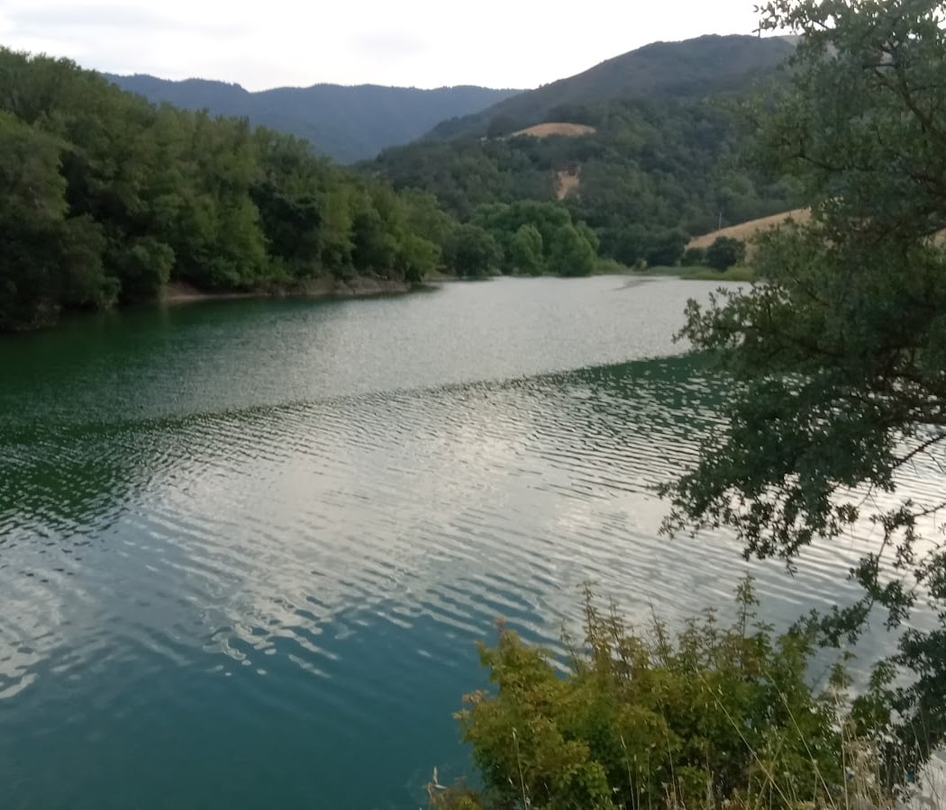 Almaden Reservoir 3