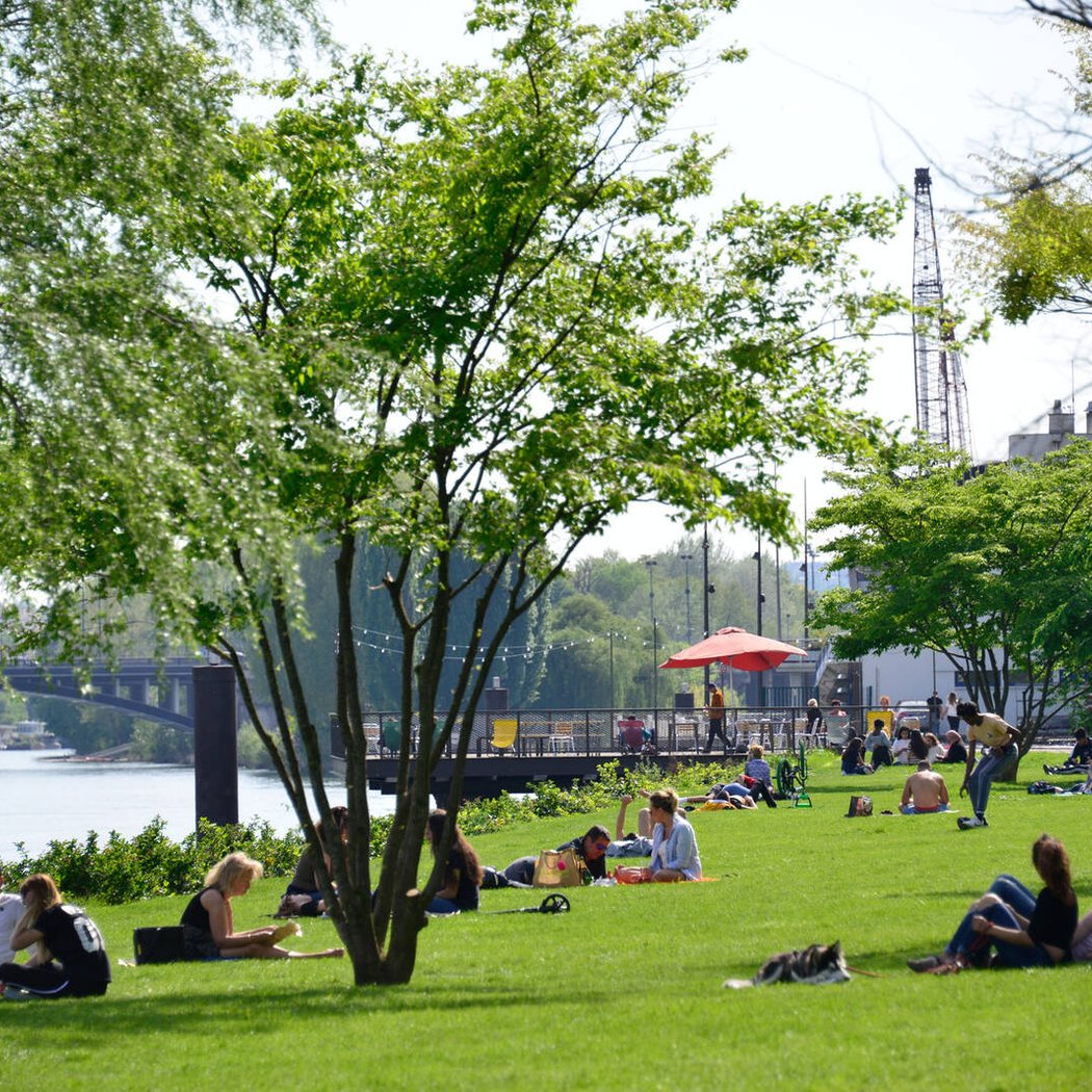 Parc des Berges de Seine 1