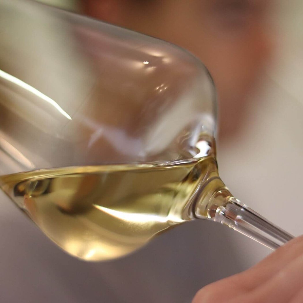 Les vins blancs et leurs secrets 1