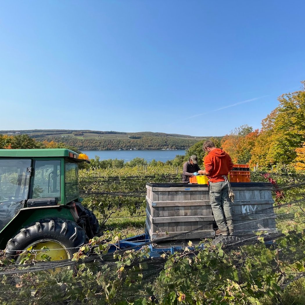 Keuka Lake Vineyards 2