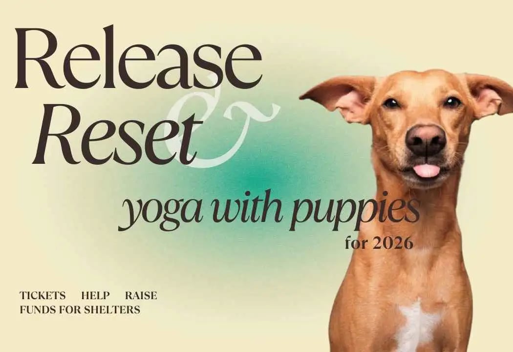 Reset for 2026 Puppy Yoga 1