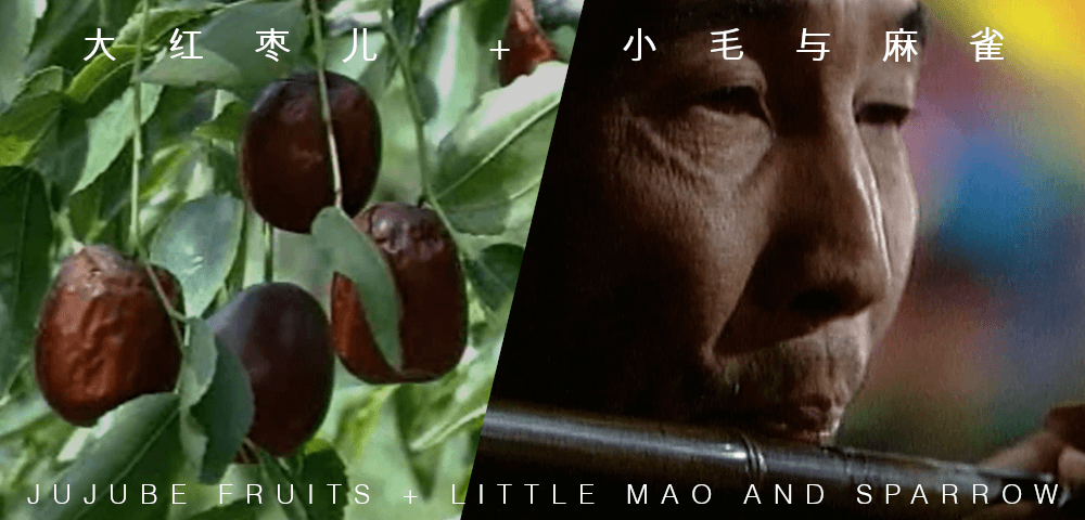 STRUCTURE. WAVE. YOUTH. CINEMA: THE LOST CHAPTER OF CHINA’S NEW DOCUMENTARY MOVEMENT 1