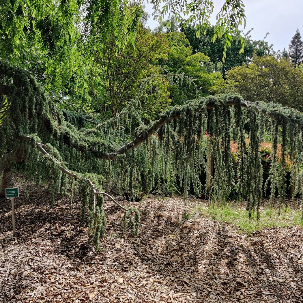 Markham Nature Park and Arboretum 3