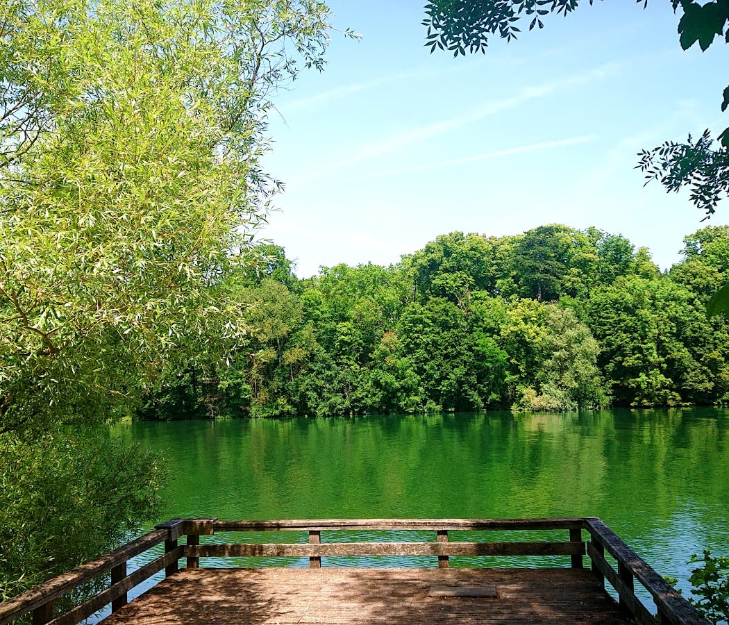 Bords de Seine de Ris Orangis 1
