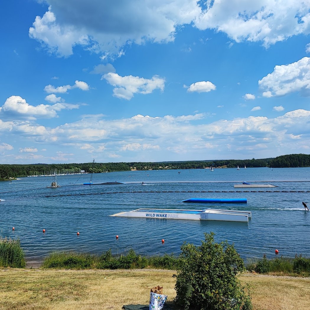Wild Wake & Ski 2