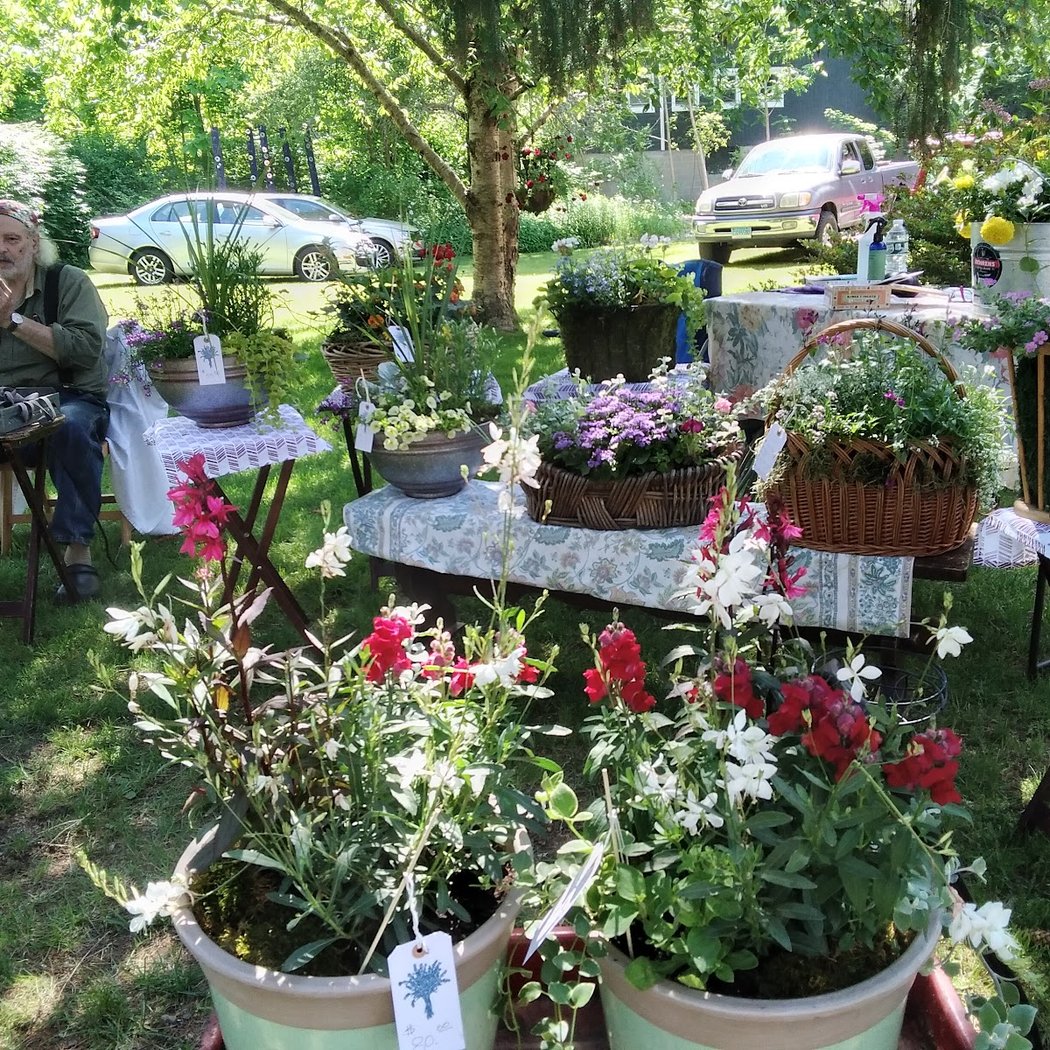 Original Cornwall Farm Market 3