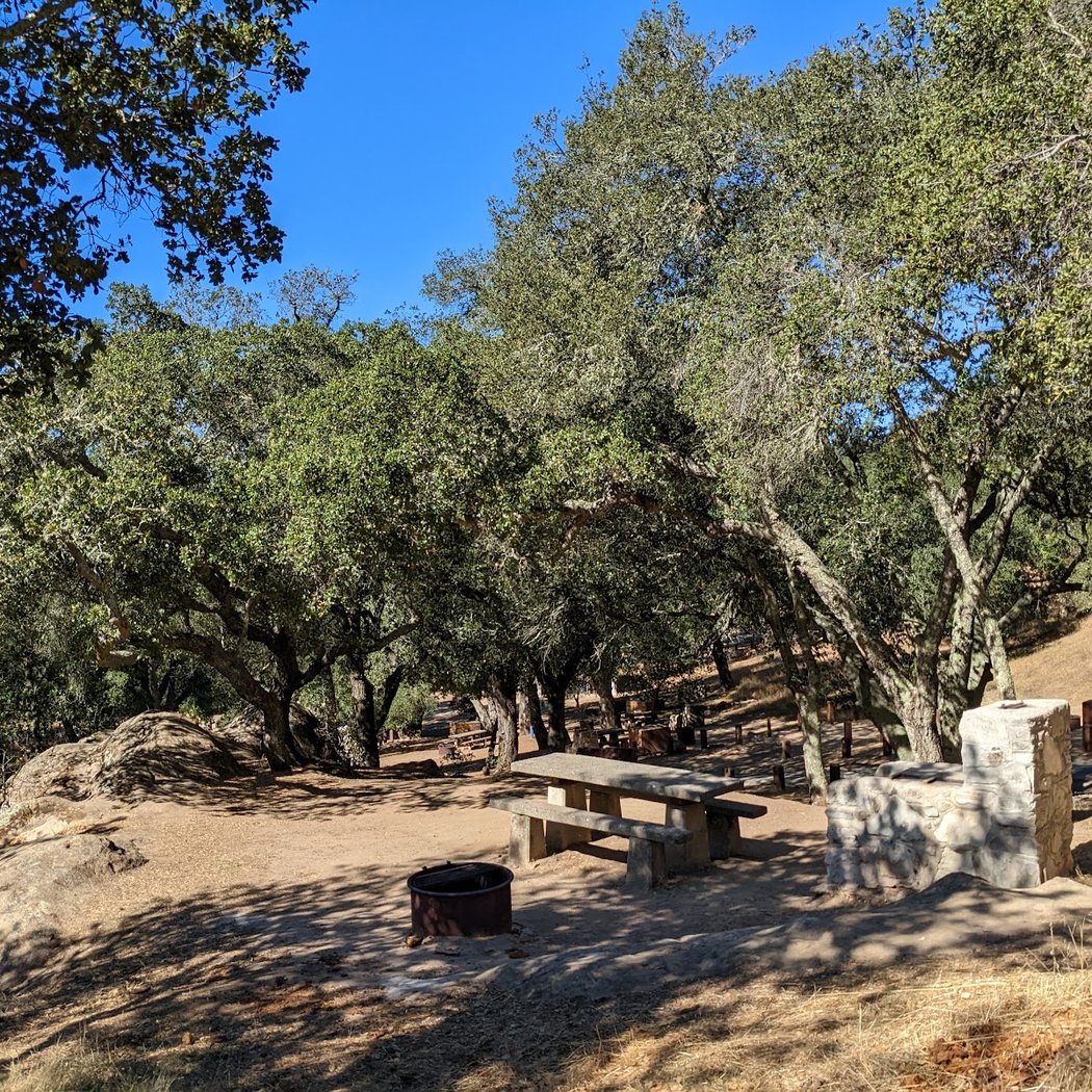 Live Oak Campground 3