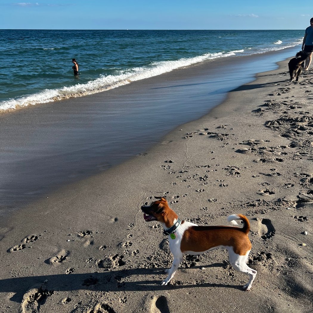 Bark Beach at Spanish River Park 3