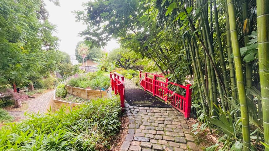 Bayonne Botanical Garden 5