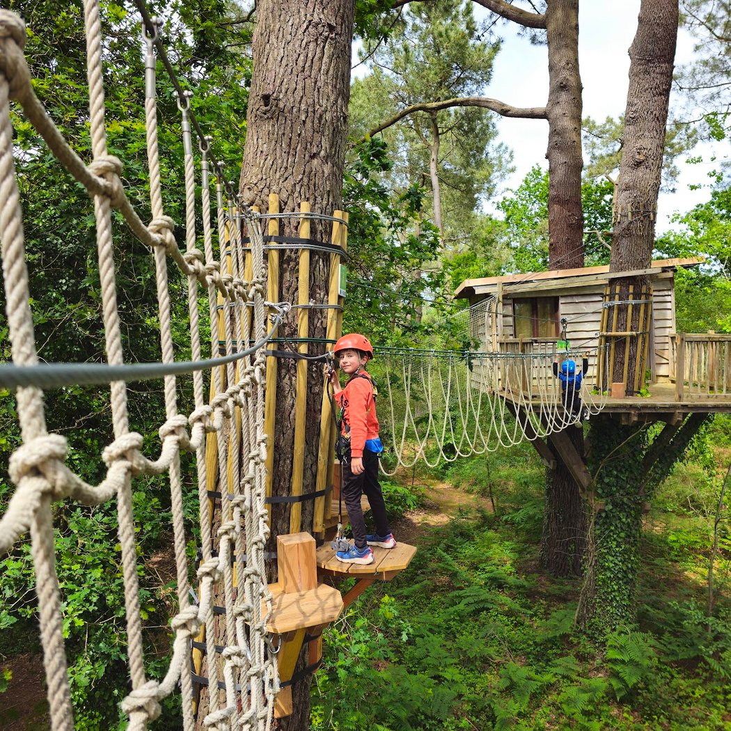 Perched live, Adventure Park 2