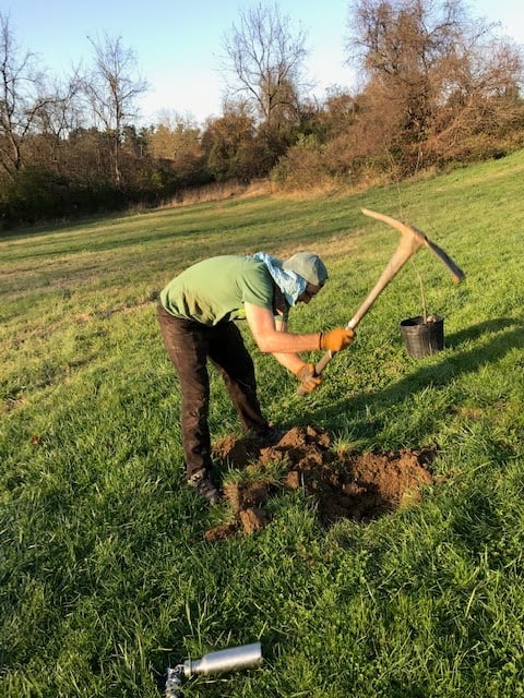 Tree Care Program in Chester, Ridley & Crum Creek Watersheds 1