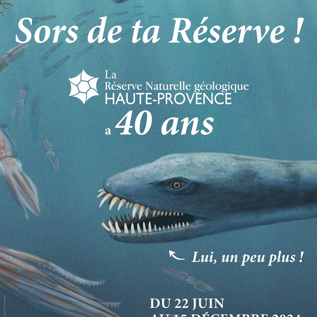 Museum of Prehistory of the Gorges du Verdon 1