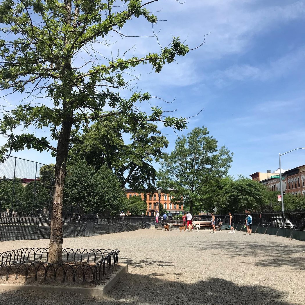 Maria Hernandez Park Dog Run 1