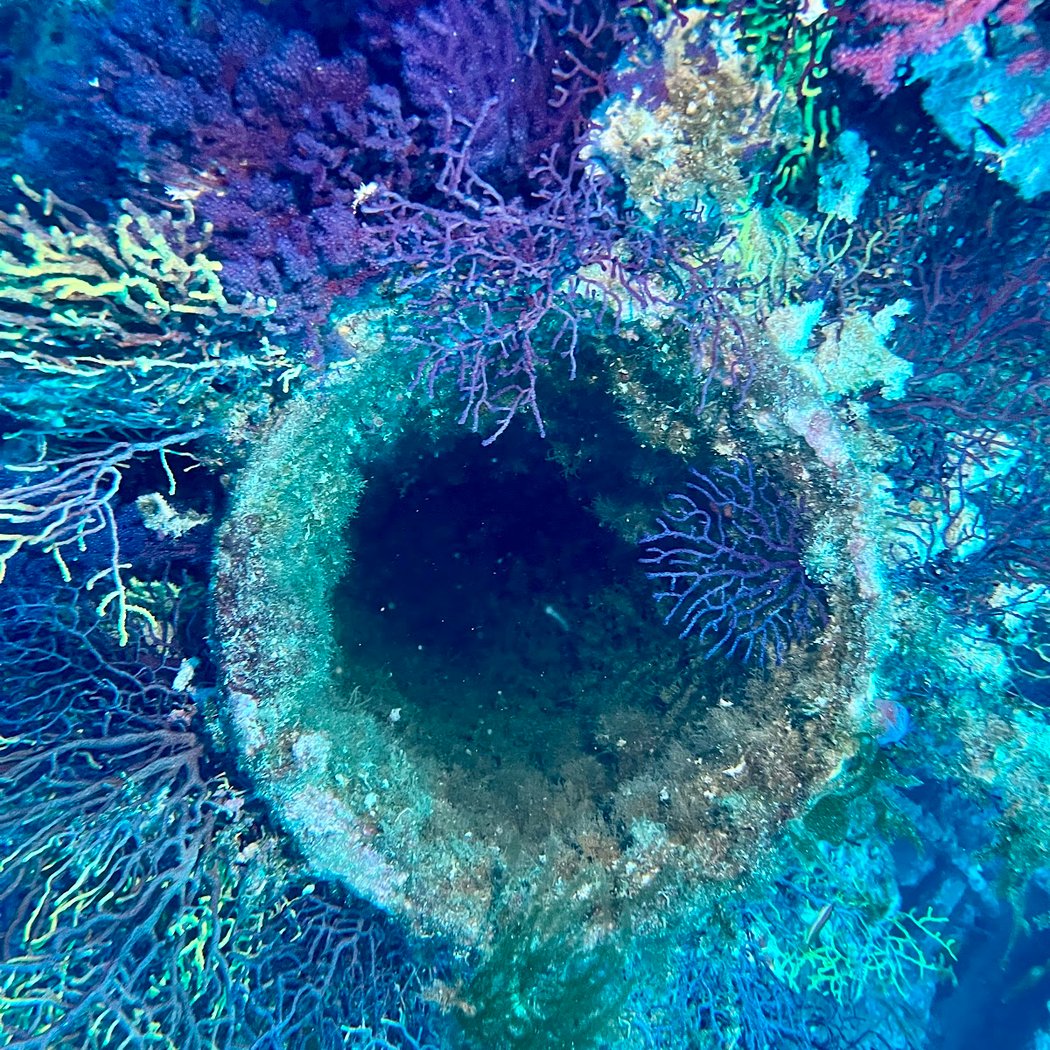 Site de Plongée de l'Épave du Donator 2