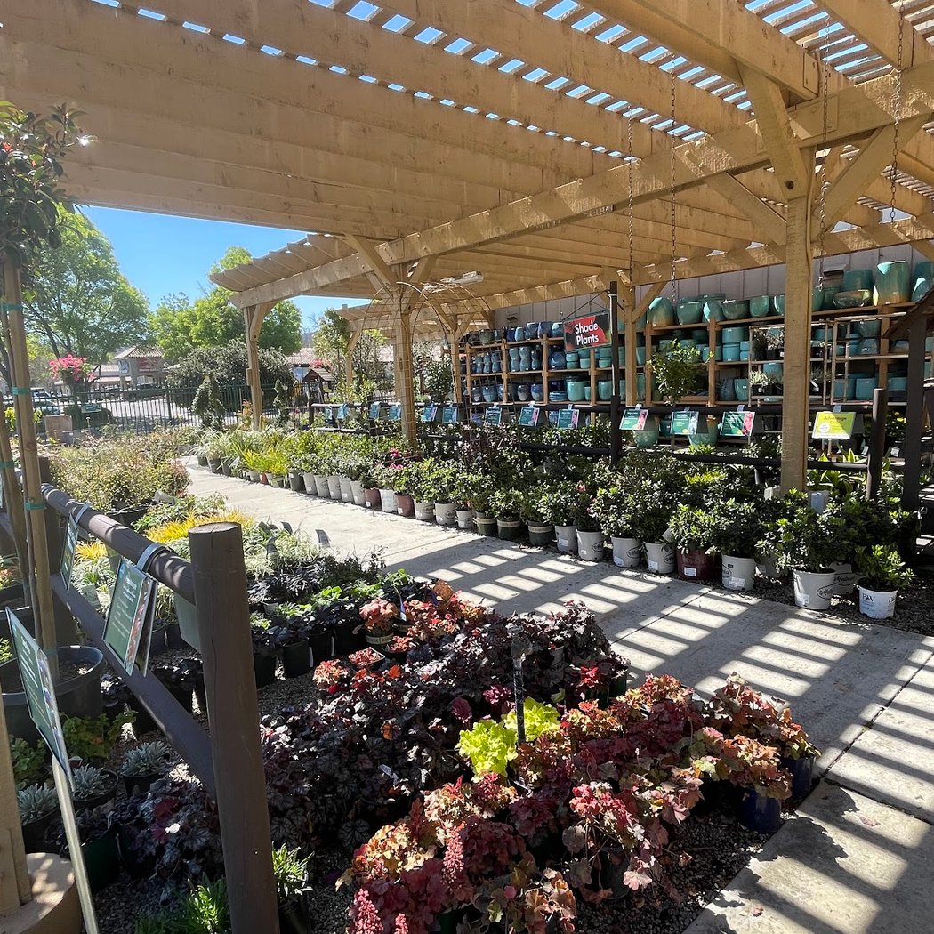 SummerWinds Nursery 3