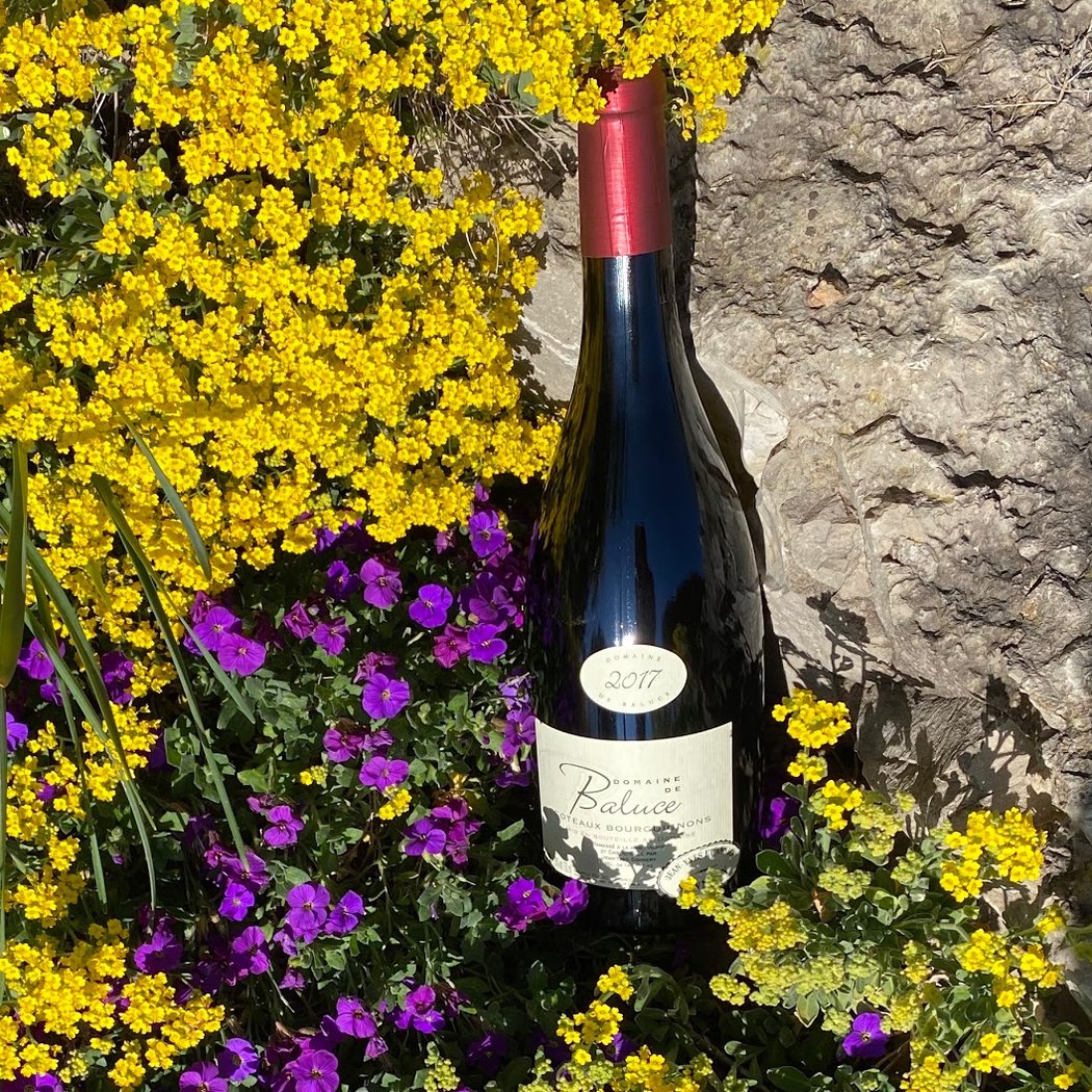 Domaine de Baluce 1