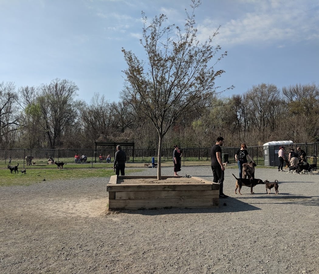 Heurich Dog Park 1