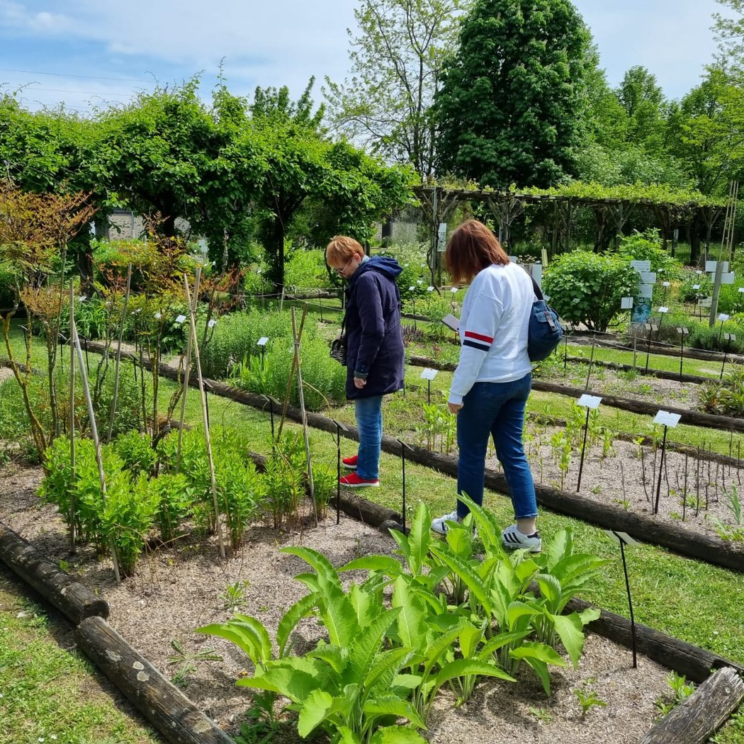Conservatoire National des Plantes à Parfum, Médicinales et Aromatiques 2