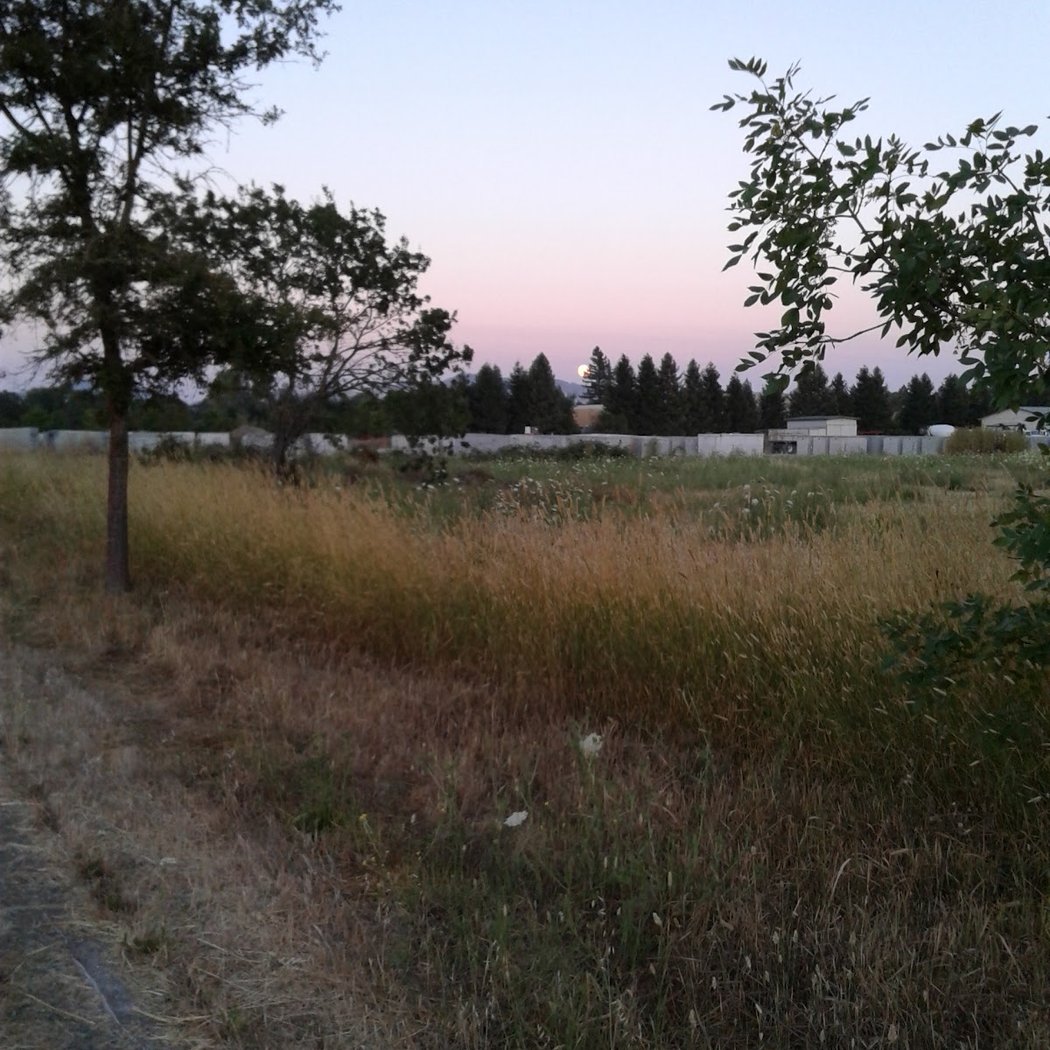 Joe Rodota Trail 3