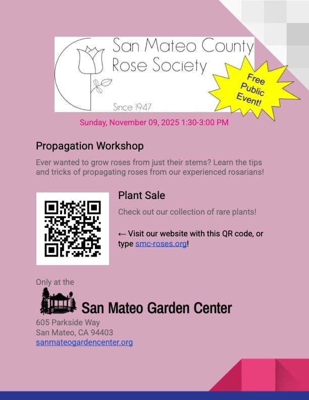 San Mateo County Rose Society Propagation Workshop 1
