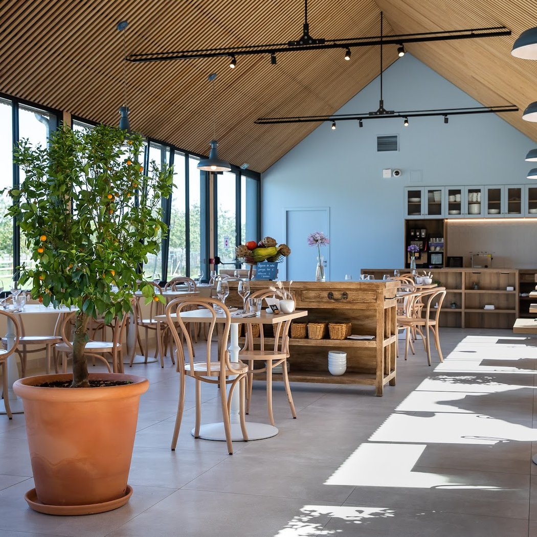 Atelier sur les arbres fruitiers 1