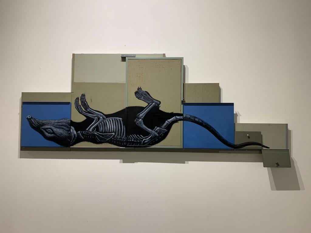ROA Histoire Naturelle 1