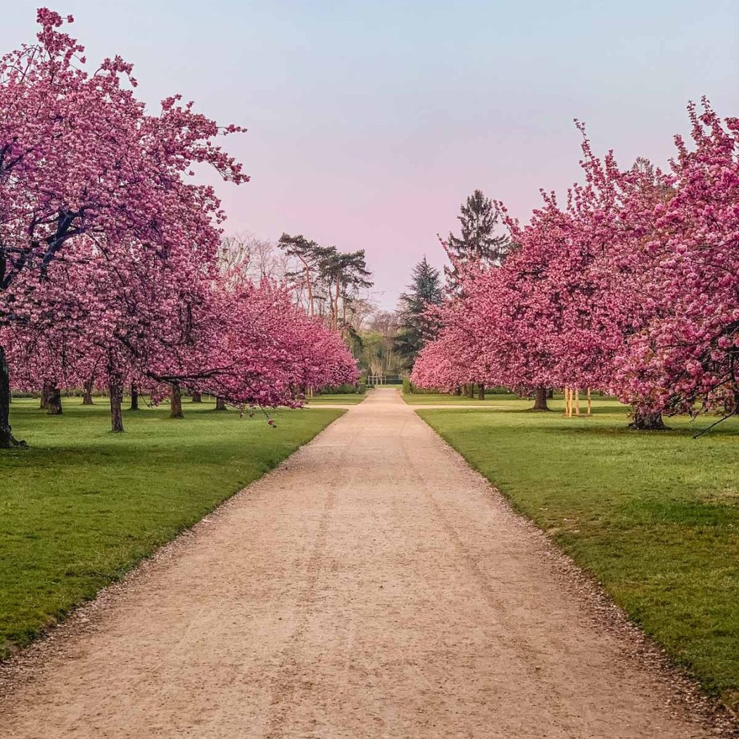 Parc de sceaux vélo 1