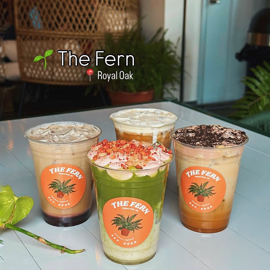 The Fern 1