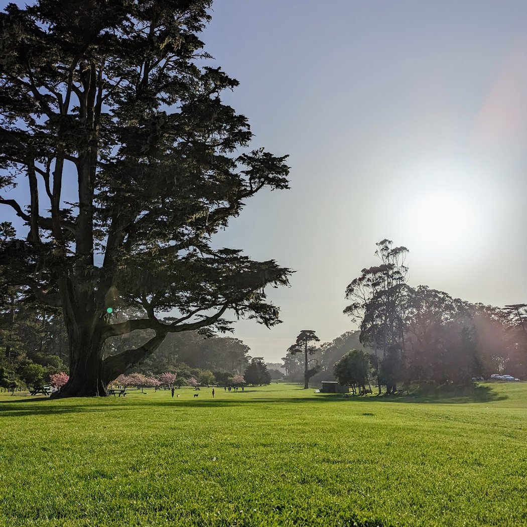 Hellman Hollow Picnic Area 1