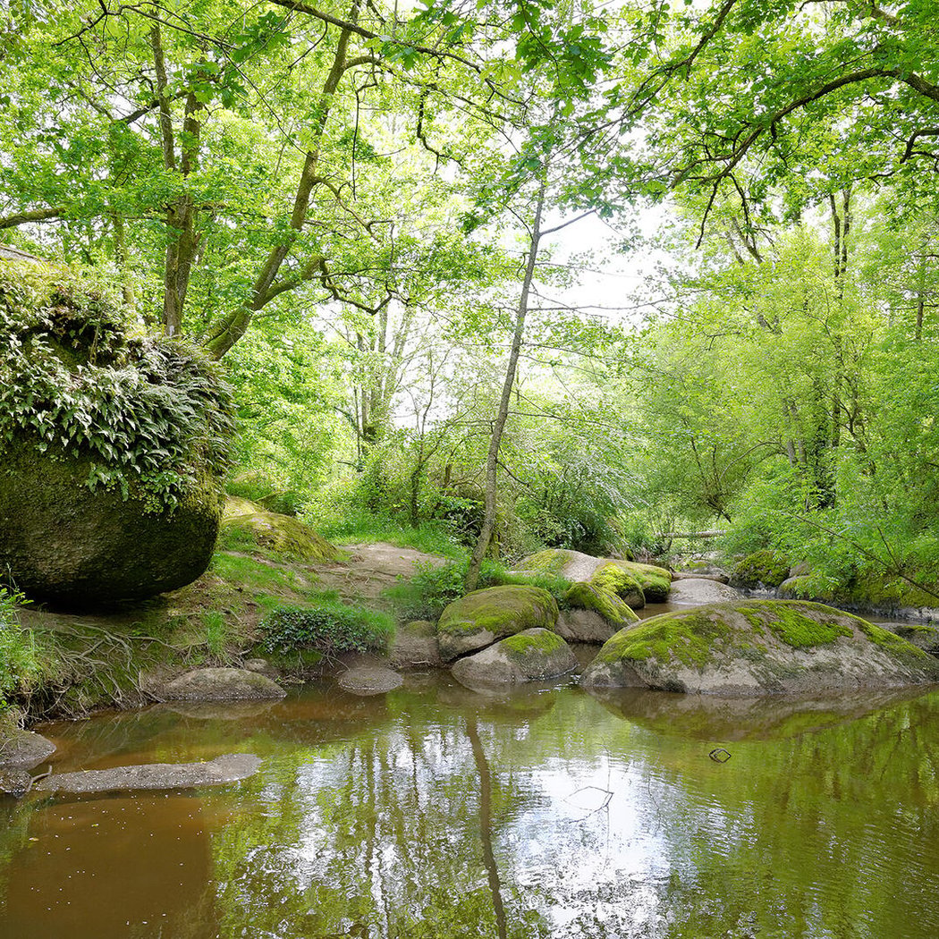 Le Rocher Branlant, le Jardin des Chirons 2
