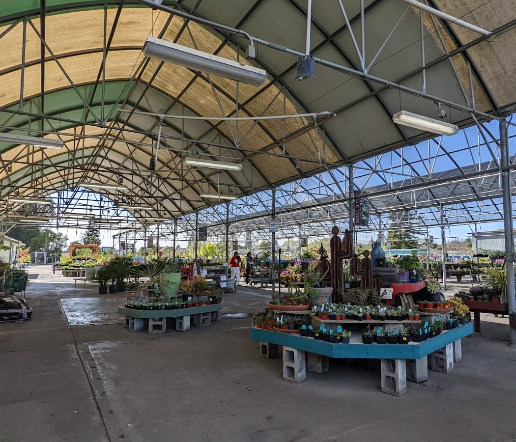 Mid City Nursery 2