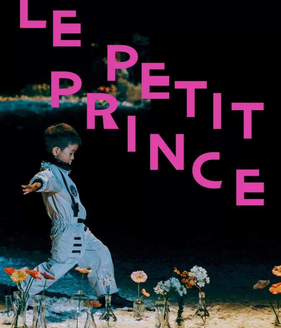 LE PETIT PRINCE 1