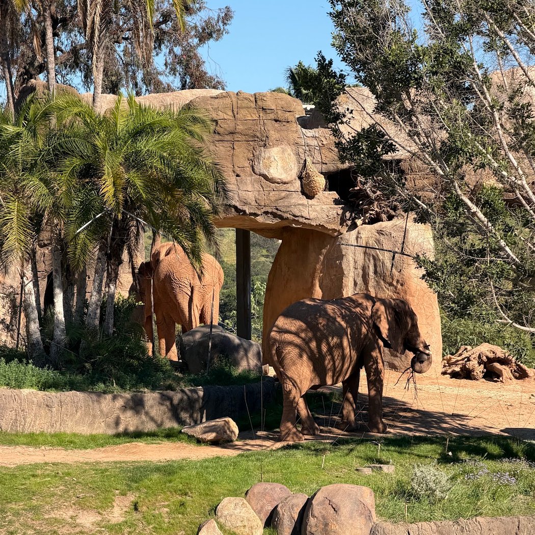 Elephant Valley 1