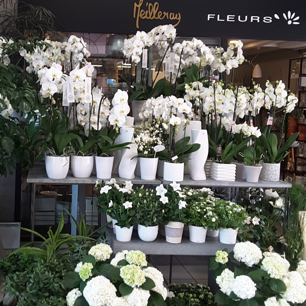 Meilleray Fleurs 3