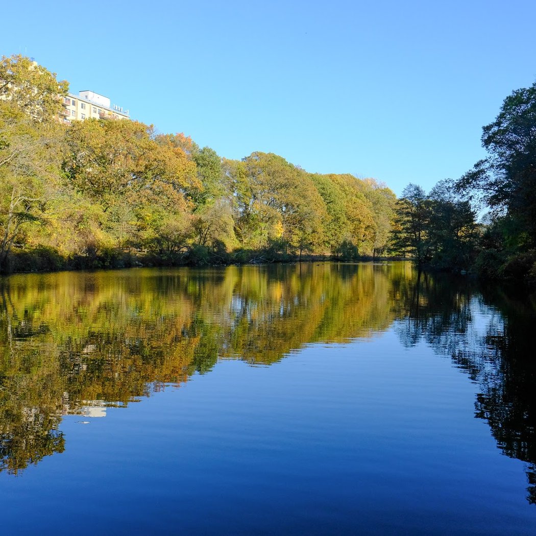 Urban Park Rangers Extended Hikes 2