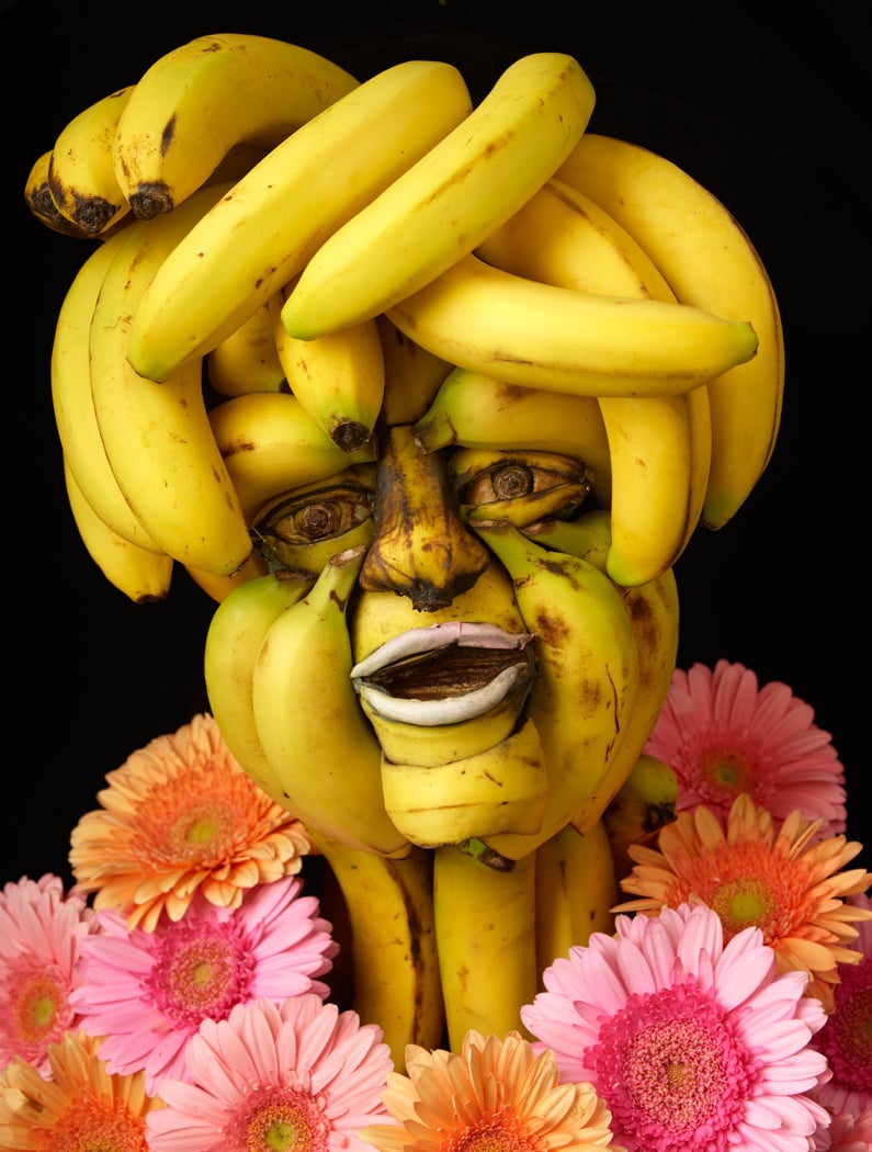 The Arcimboldo Series 1