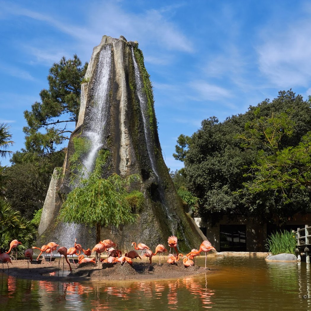 Zoo La Palmyre 1
