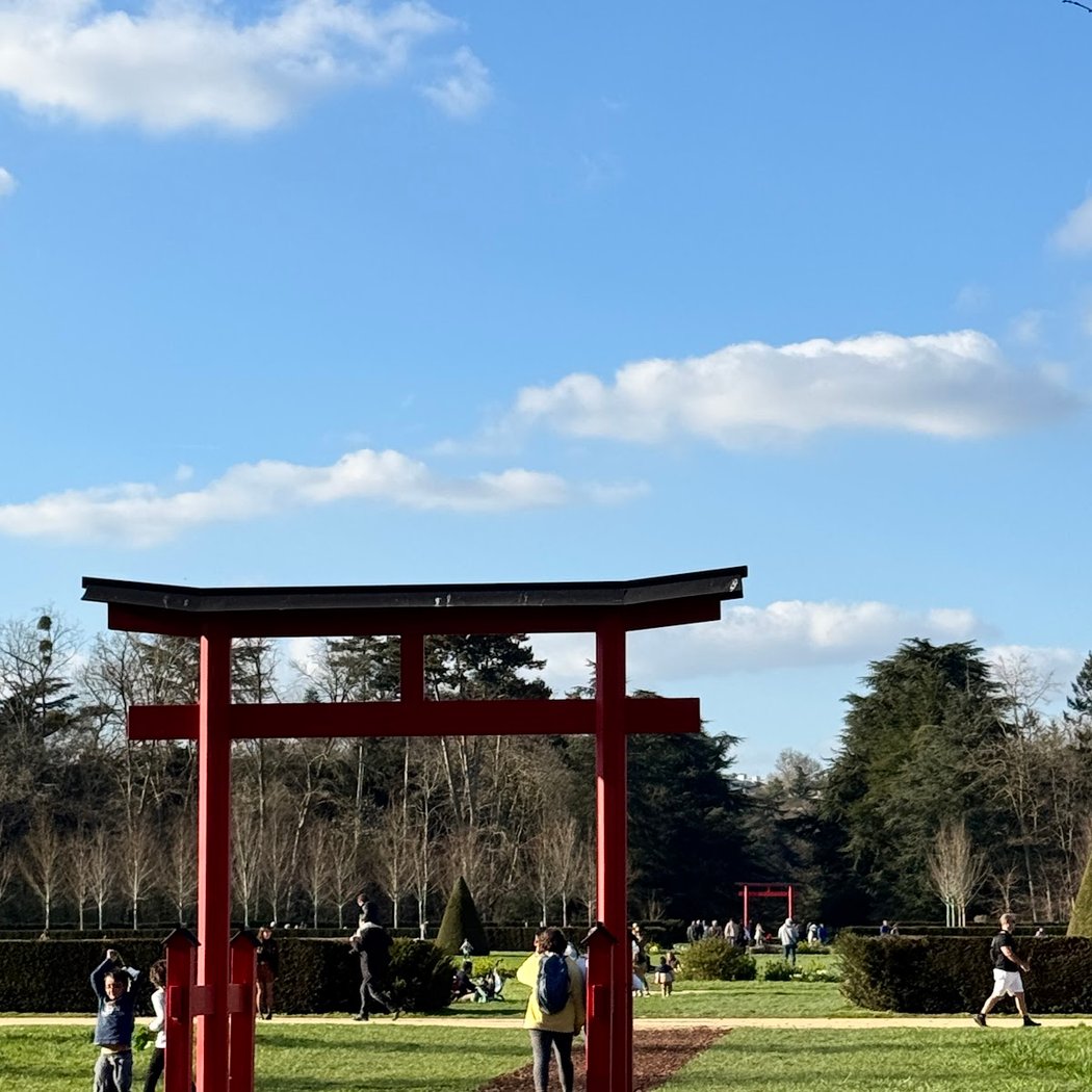 Hanami au parc de Sceaux 3